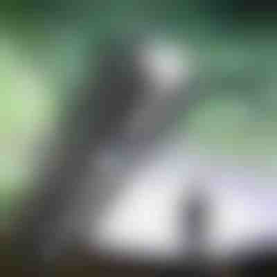 Superstarke wiederaufladbare Taschenlampe | BLAZORA